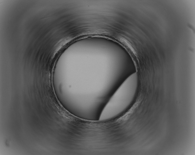 X0000092020781200709061329