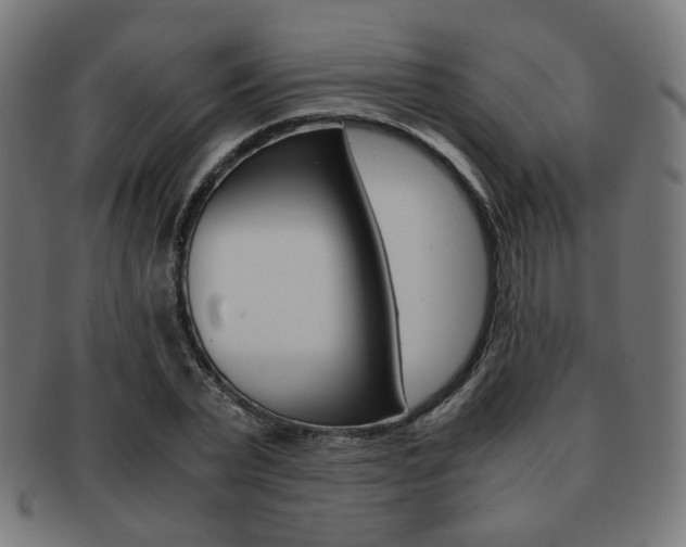 X0000092020783200709061329