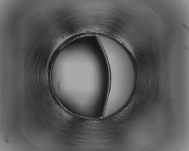 X0000092020784200709061329