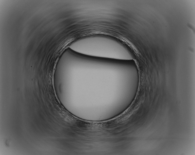 X0000092020785200709061329