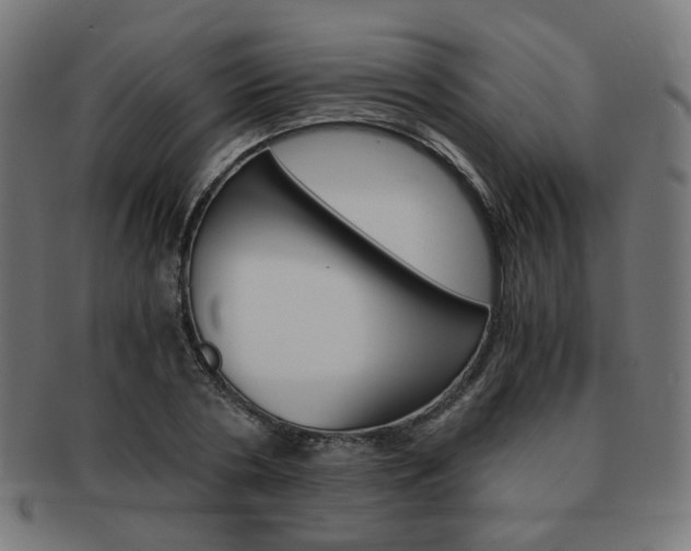 X0000092020786200709061329