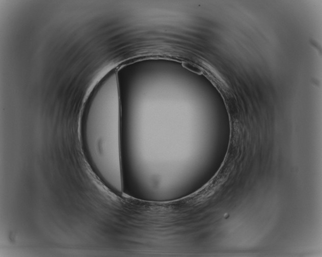 X0000092020788200709061329