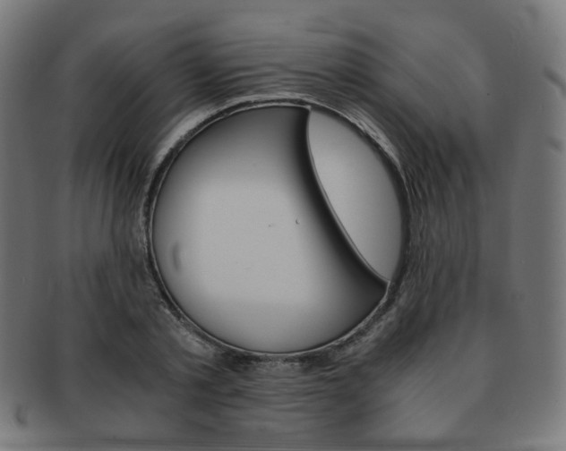 X0000092020789200709061329