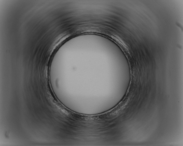 X0000092020790200709061329