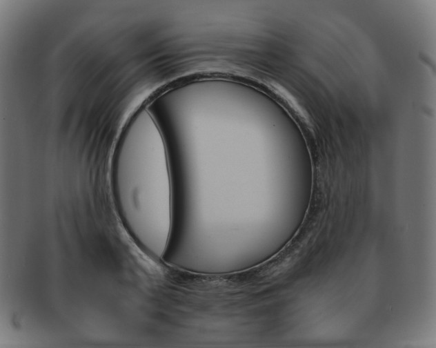 X0000092020791200709061329