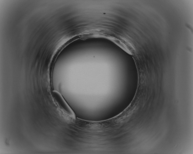 X0000092020792200709061329