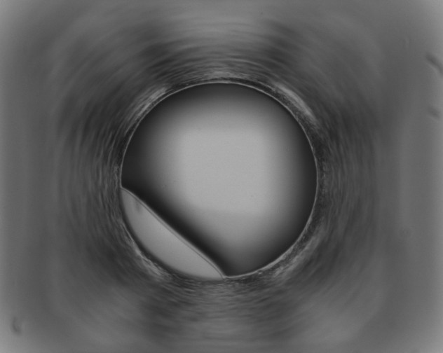 X0000092020793200709061329