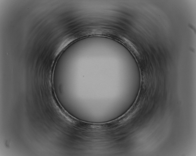 X0000092020794200709061329