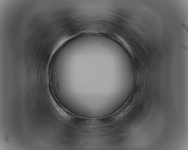 X0000092020795200709061329