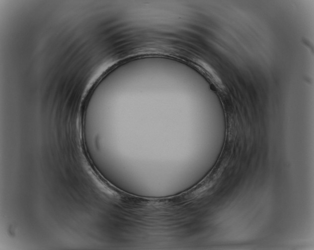 X0000092020796200709061329