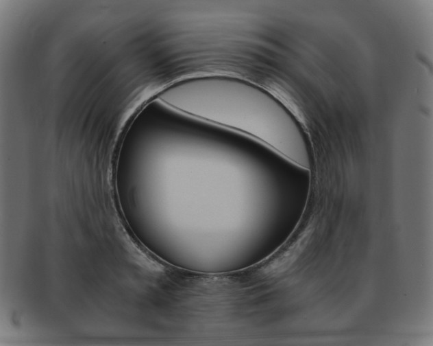 X0000092020797200709061329