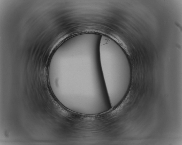 X0000092020798200709061329