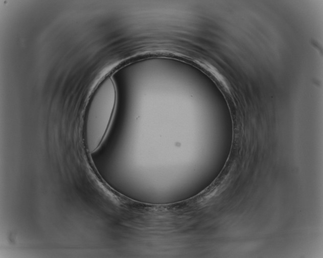 X0000092020799200709061329