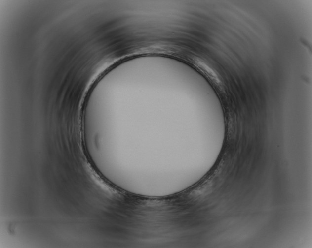 X0000092020800200709061329