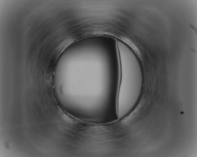 X0000092020801200709061329