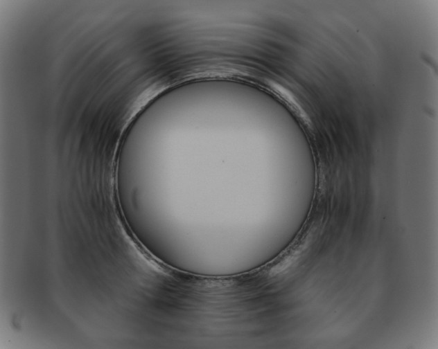X0000092020802200709061329