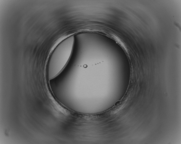 X0000092020803200709061329