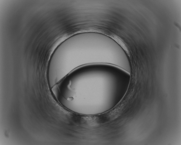 X0000092020805200709061328