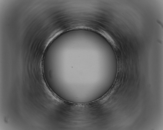 X0000092020806200709061328