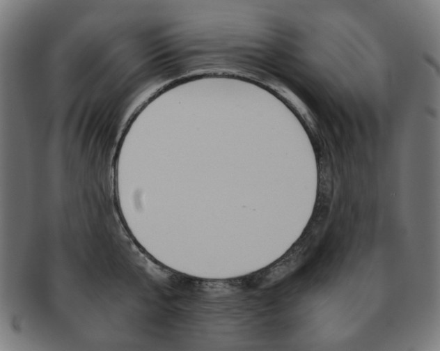 X0000092020807200709061328