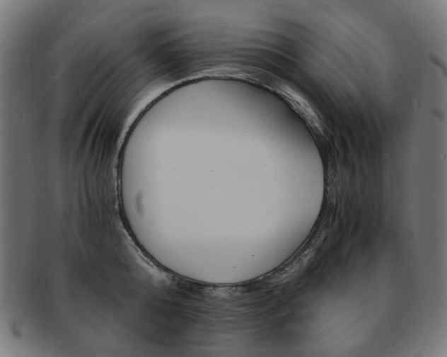 X0000092020808200709061328