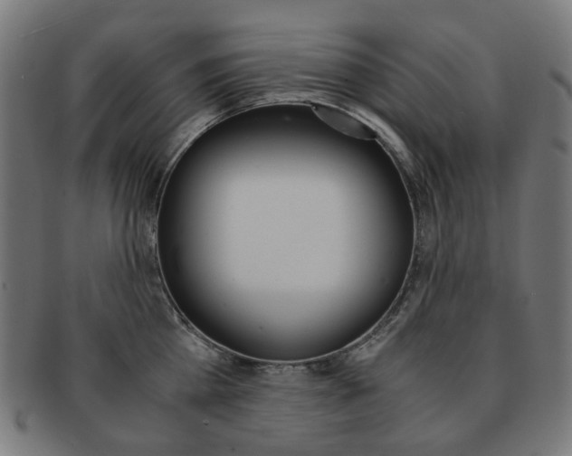 X0000092020809200709061328