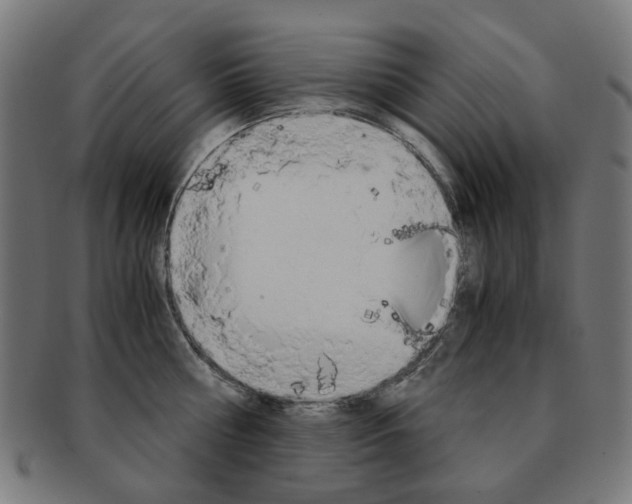 X0000092020810200709061328