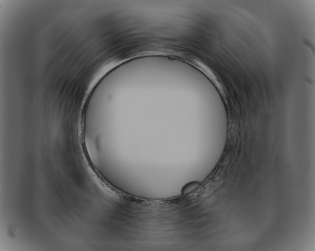 X0000092020811200709061328