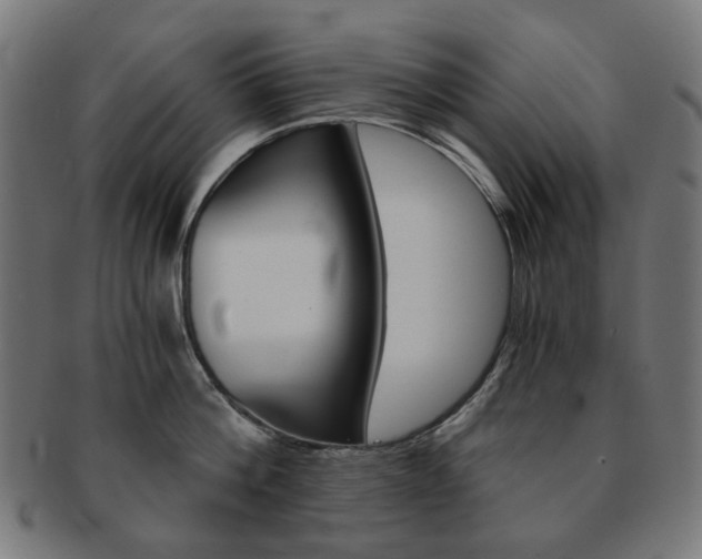 X0000092020812200709061328