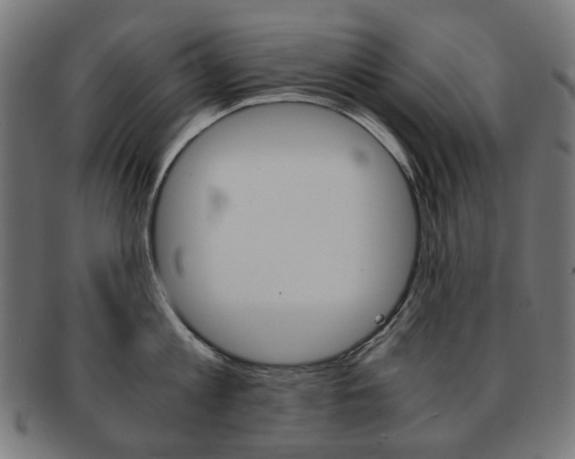 X0000092020813200709061328