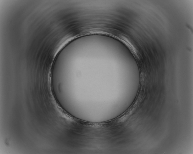 X0000092020814200709061328