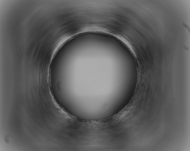 X0000092020815200709061328