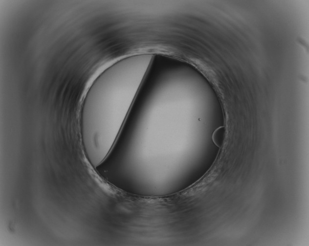 X0000092020816200709061328