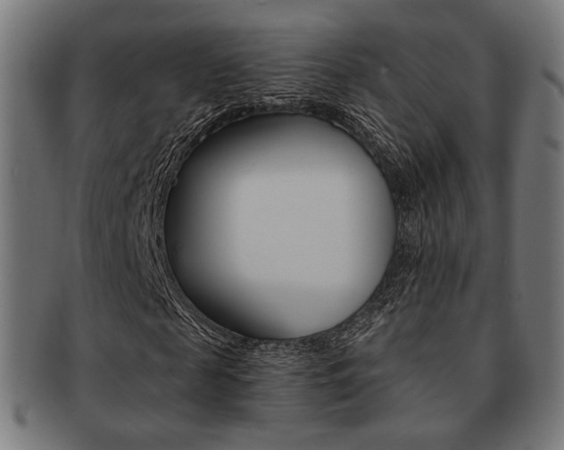X0000092020817200709061328