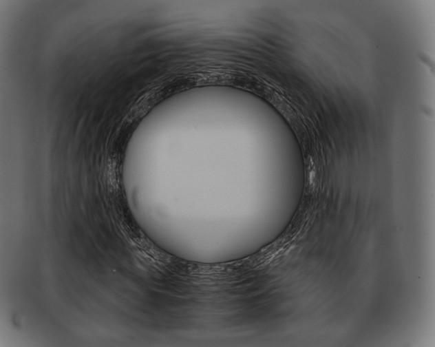 X0000092020819200709061328