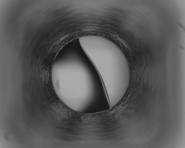 X0000092020821200709061328