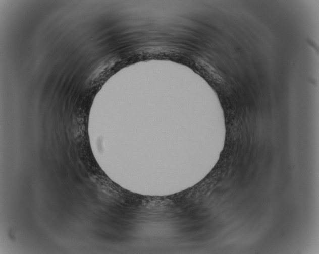 X0000092020824200709061328