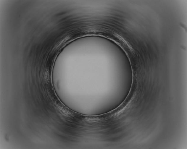 X0000092020825200709061328