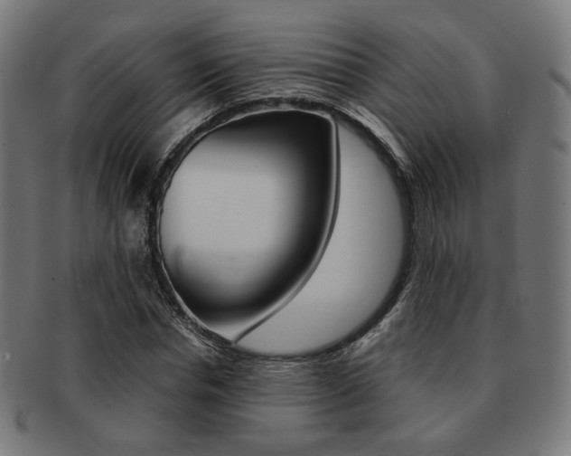 X0000092020826200709061328