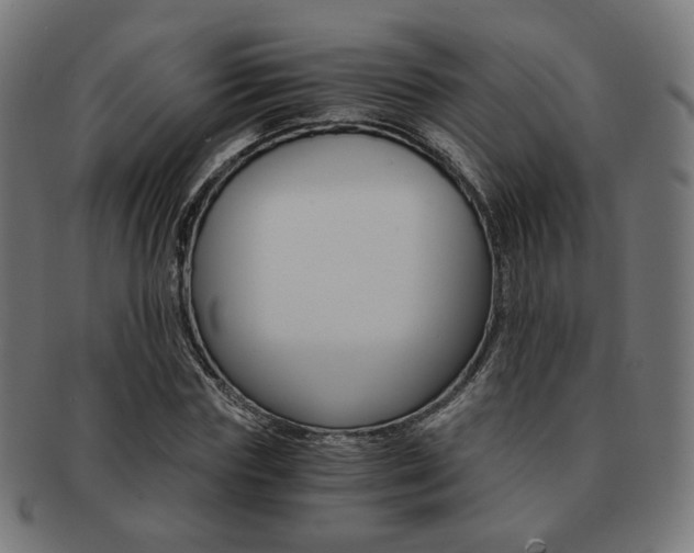 X0000092020827200709061328
