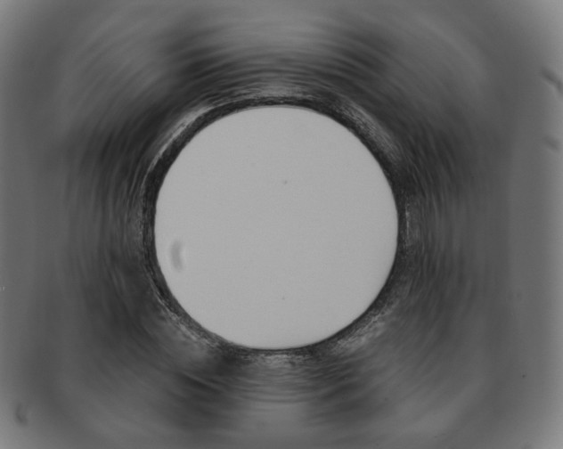 X0000092020828200709061328