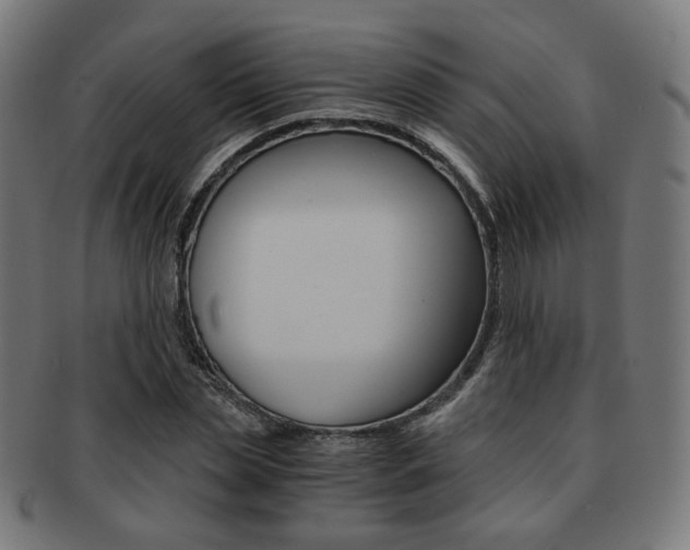 X0000092020829200709061328