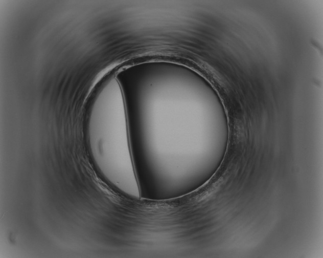 X0000092020830200709061328