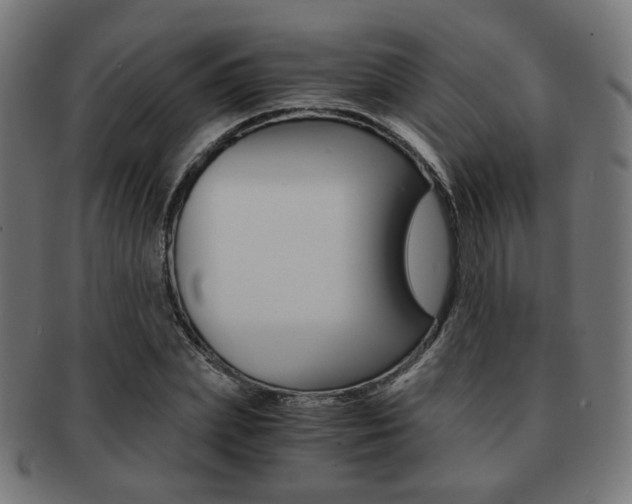 X0000092020831200709061328