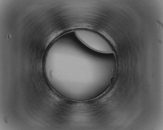 X0000092020834200709061328