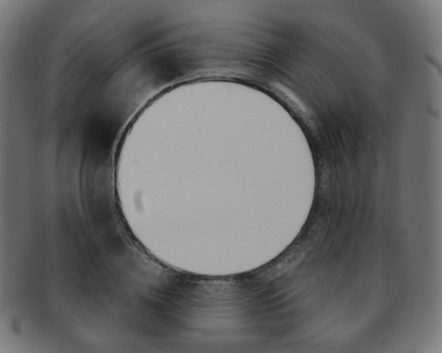 X0000092020836200709061328