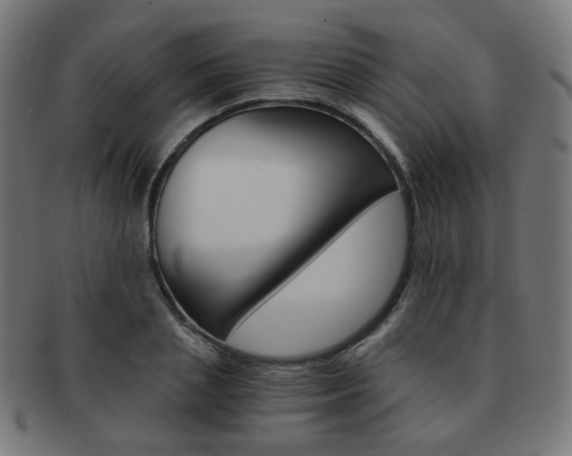 X0000092020837200709061328