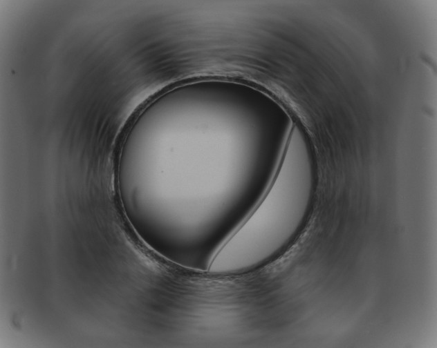 X0000092020838200709061328