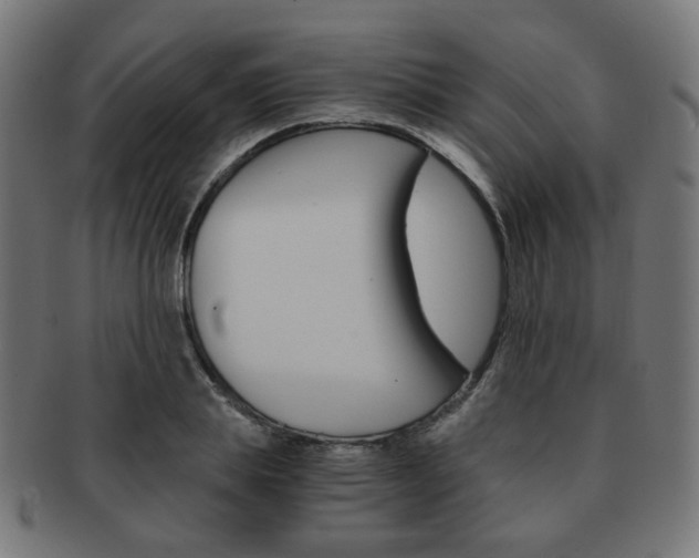 X0000092020839200709061328