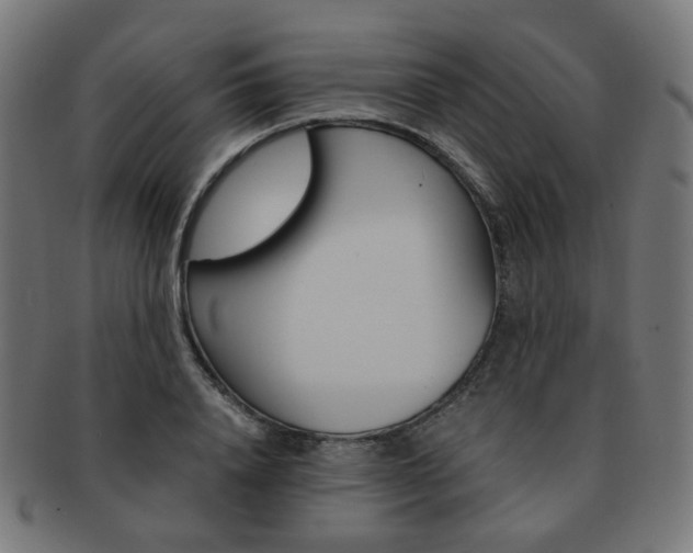X0000092020840200709061328